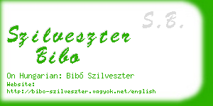 szilveszter bibo business card